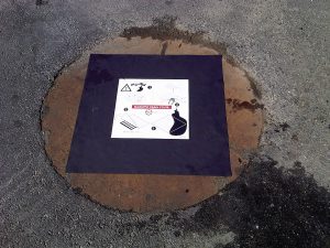 magnetic drain cover